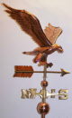 Large polished eagle in flight